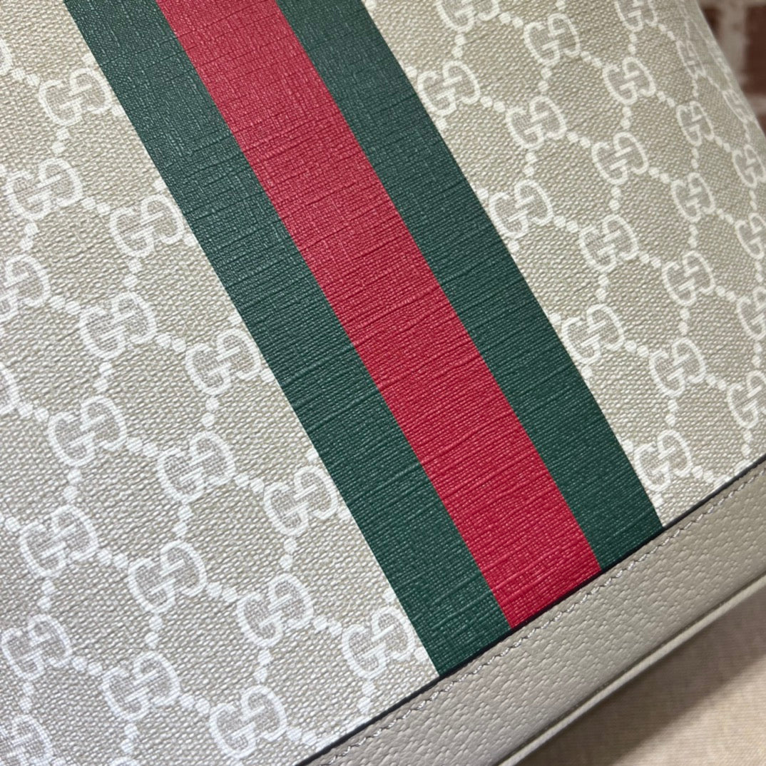 ＧＣＣＩOPHIDIA SMALL TOTE BAG