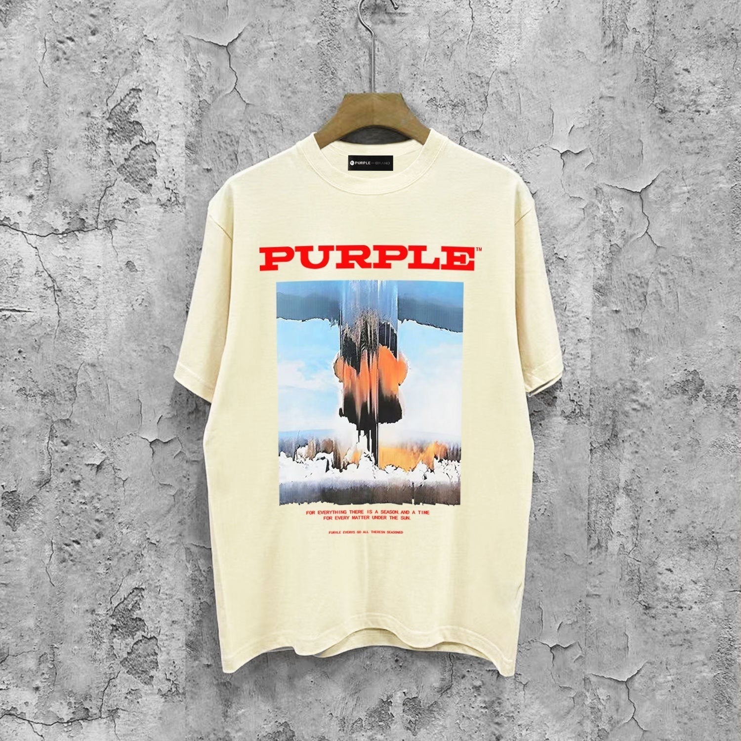 Purple Brand T Shirts