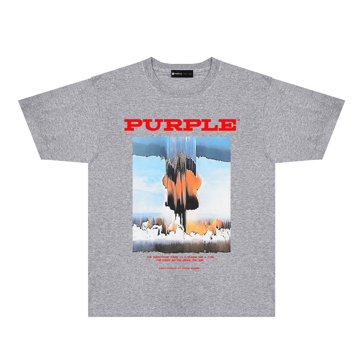 Purple Brand T Shirts