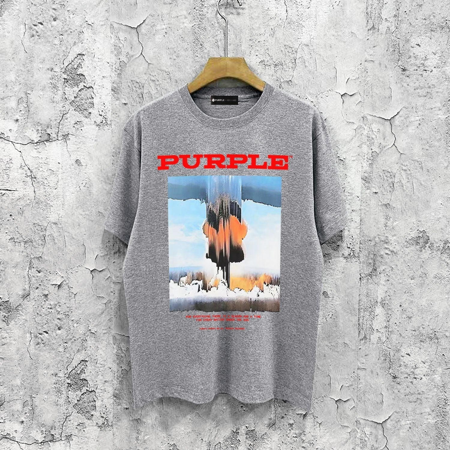 Purple Brand T Shirts