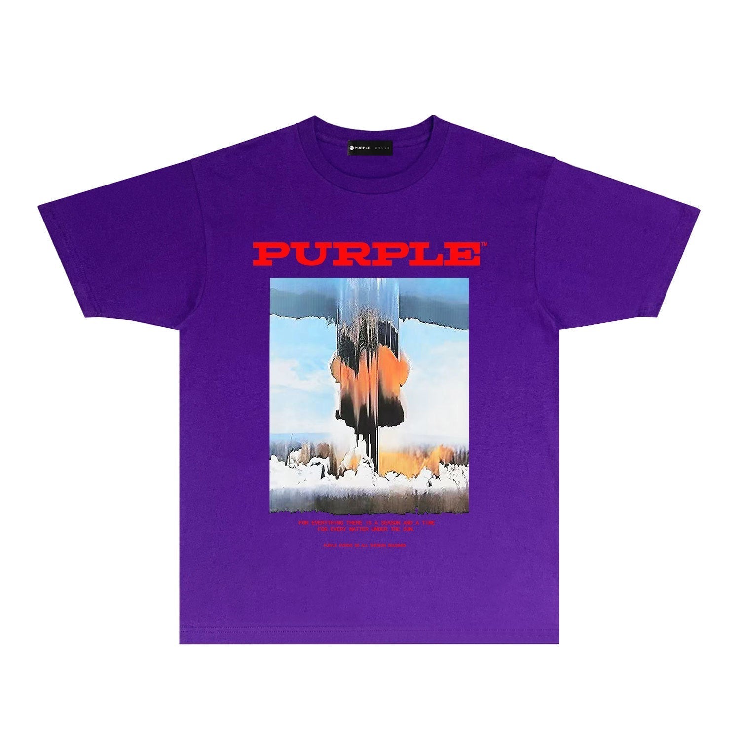 Purple Brand T Shirts