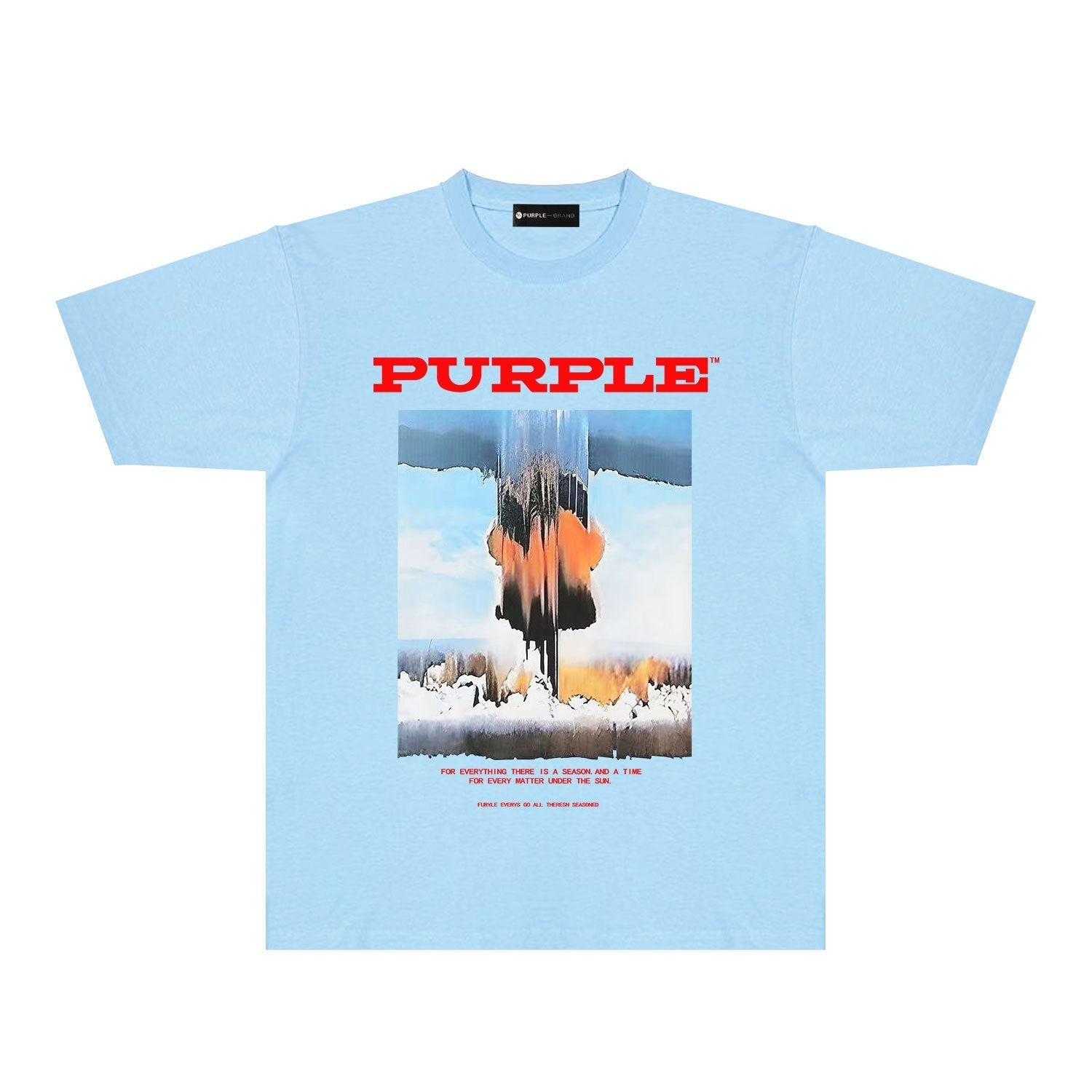 Purple Brand T Shirts