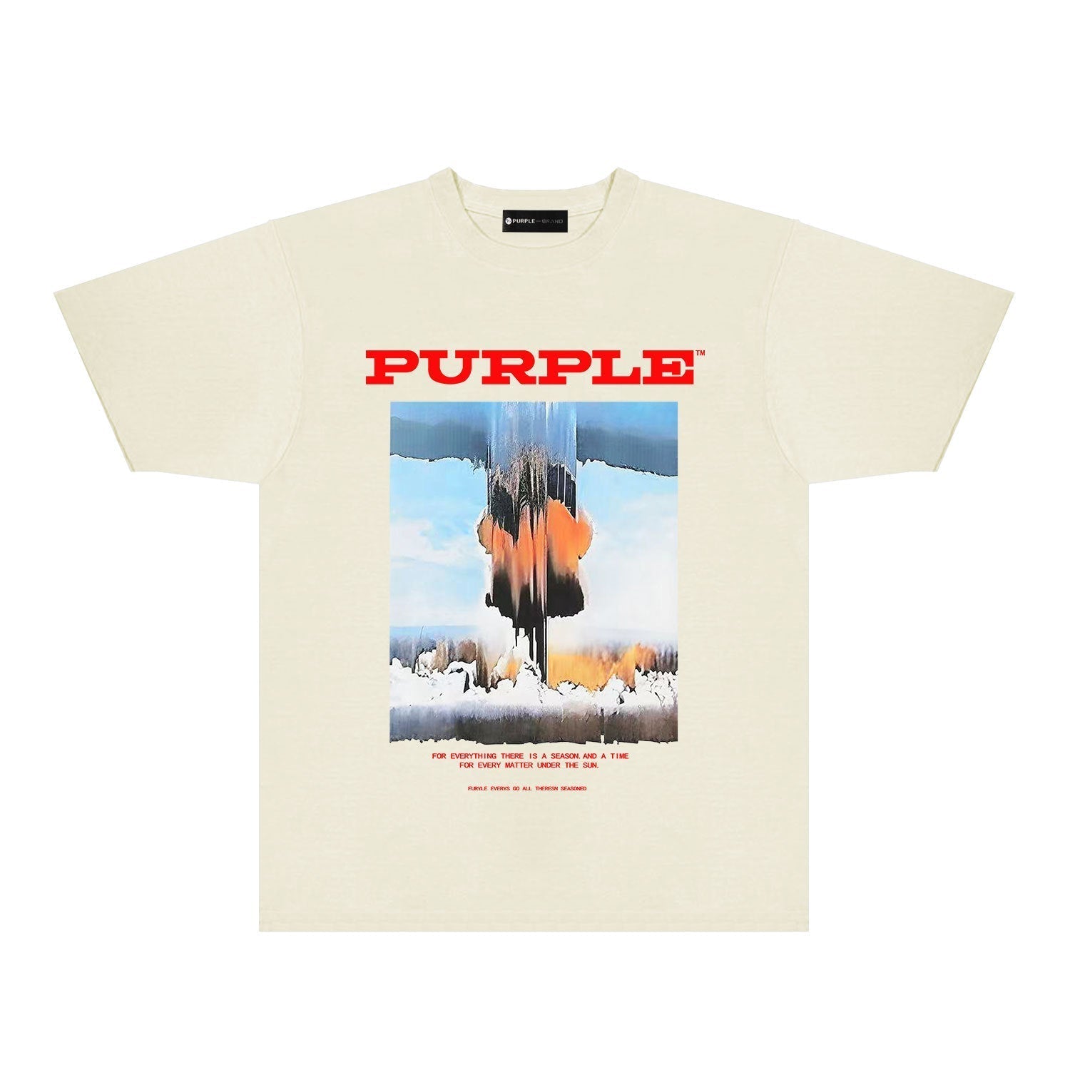 Purple Brand T Shirts