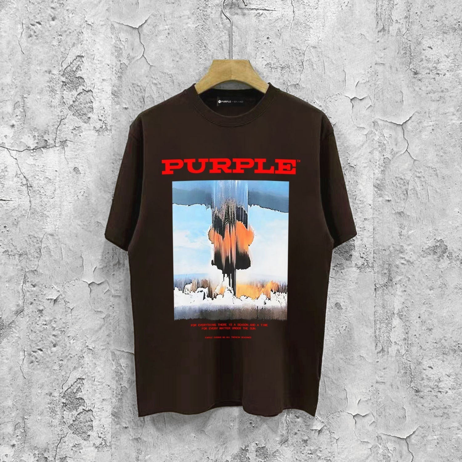 Purple Brand T Shirts